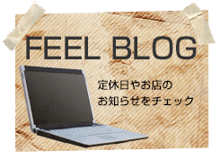 feel blog